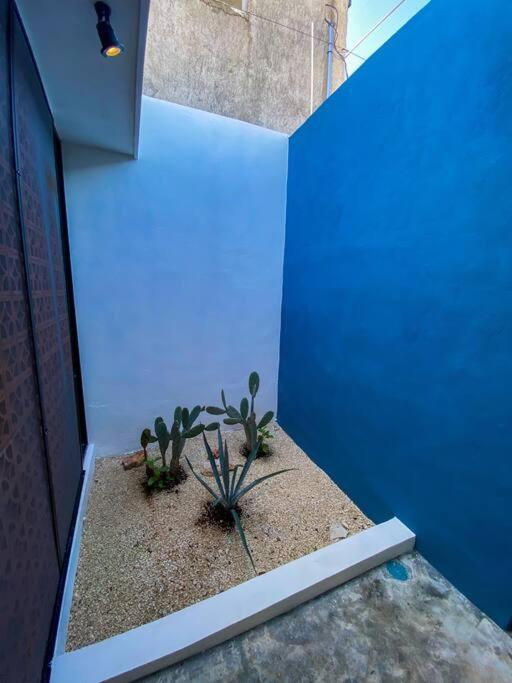 Modern Casa With Pool 7 Mins From Centro 5Min La Plancha Park Villa Merida Ngoại thất bức ảnh