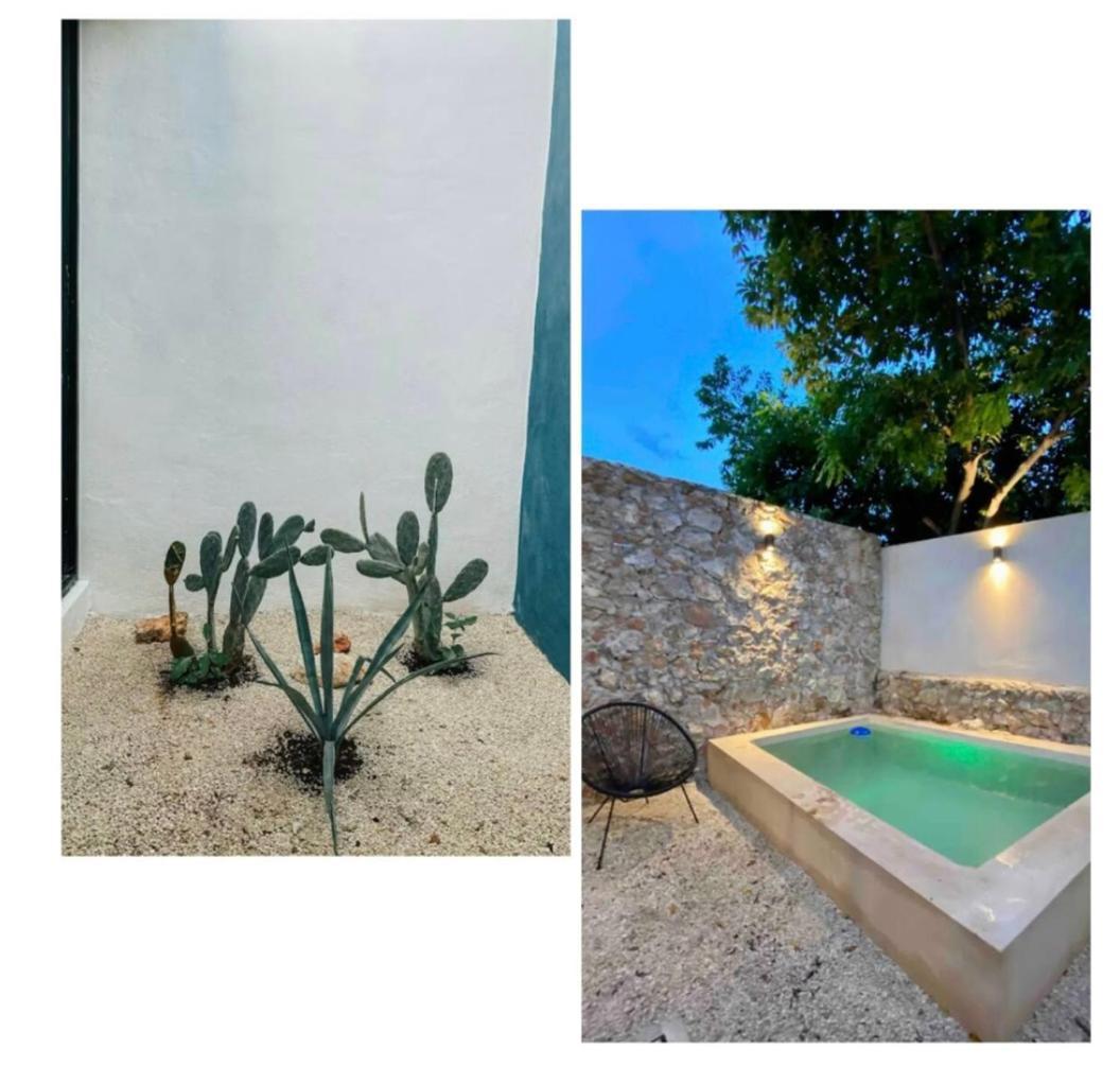 Modern Casa With Pool 7 Mins From Centro 5Min La Plancha Park Villa Merida Ngoại thất bức ảnh
